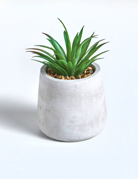 Plante artificielle et pot en ciment (gris) Plante artificielle et pot en ciment (gris)